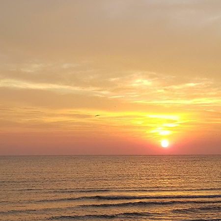 Summerhouse Apartments Mamaia Ngoại thất bức ảnh
